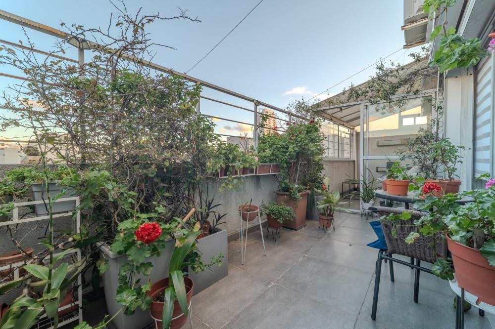 Planes 683, Caballito